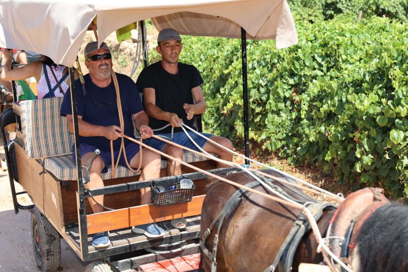 La presentació i l’entrada de la murta aporten l’ambient a l’arranc de les festes de Llíber La presentació i l’entrada de la murta aporten l’ambient a l’arranc de les festes de Llíber